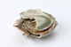 FileNo.164-582.jpg
