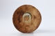 FileNo.164-584.jpg
