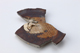 FileNo.164-586.jpg