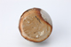 FileNo.164-589.jpg