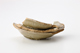 FileNo.164-615.jpg