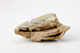 FileNo.164-616.jpg