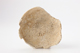 FileNo.164-619.jpg