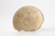 FileNo.164-625.jpg
