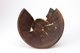 FileNo.164-632.jpg