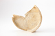 FileNo.164-645.jpg