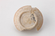 FileNo.164-660.jpg