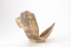 FileNo.164-674.jpg
