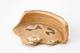 FileNo.164-680.jpg
