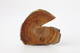 FileNo.164-687.jpg
