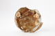 FileNo.164-688.jpg