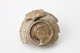 FileNo.164-692.jpg
