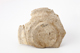 FileNo.164-698.jpg