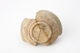 FileNo.164-700.jpg