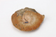 FileNo.164-703.jpg