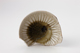 FileNo.164-743.jpg