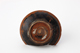 FileNo.164-787.jpg