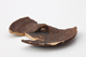 FileNo.164-800.jpg