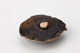 FileNo.164-801.jpg