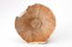 FileNo.164-815.jpg