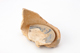 FileNo.164-839.jpg