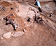 FileNo.164-868.jpg