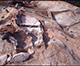FileNo.164-869.jpg