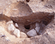 FileNo.164-873.jpg