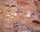 FileNo.164-879.jpg