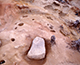 FileNo.164-880.jpg
