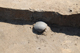 FileNo.167-009.jpg