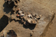 FileNo.167-022.jpg