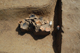 FileNo.167-024.jpg
