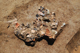 FileNo.167-025.jpg