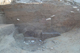 FileNo.167-034.jpg