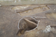 FileNo.167-043.jpg