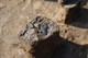 FileNo.167-058.jpg