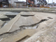 FileNo.167-075.jpg
