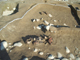 FileNo.167-083.jpg