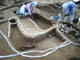 FileNo.167-084.jpg