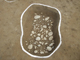 FileNo.167-090.jpg