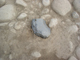 FileNo.167-097.jpg
