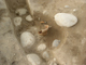 FileNo.167-099.jpg