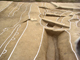 FileNo.167-109.jpg
