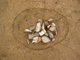 FileNo.167-119.jpg