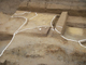 FileNo.167-134.jpg