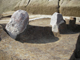 FileNo.167-138.jpg