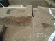 FileNo.167-156.jpg