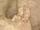 FileNo.167-158.jpg