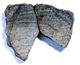 FileNo.167-185.jpg